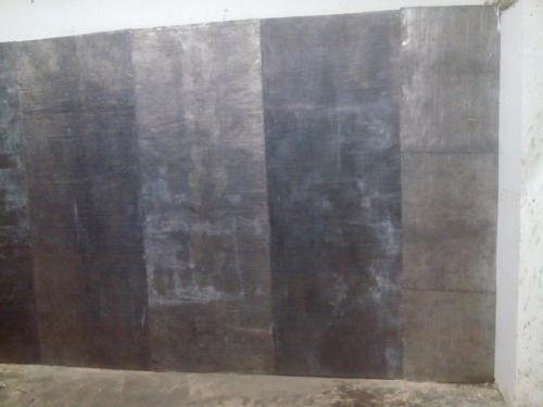 RADIATION SHIELDING